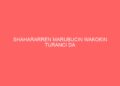 SHAHARARREN MARUBUCIN WAƘOƘIN TURANCI DA HAUSA…YA CIWO BABBAR LAMBAR YABO